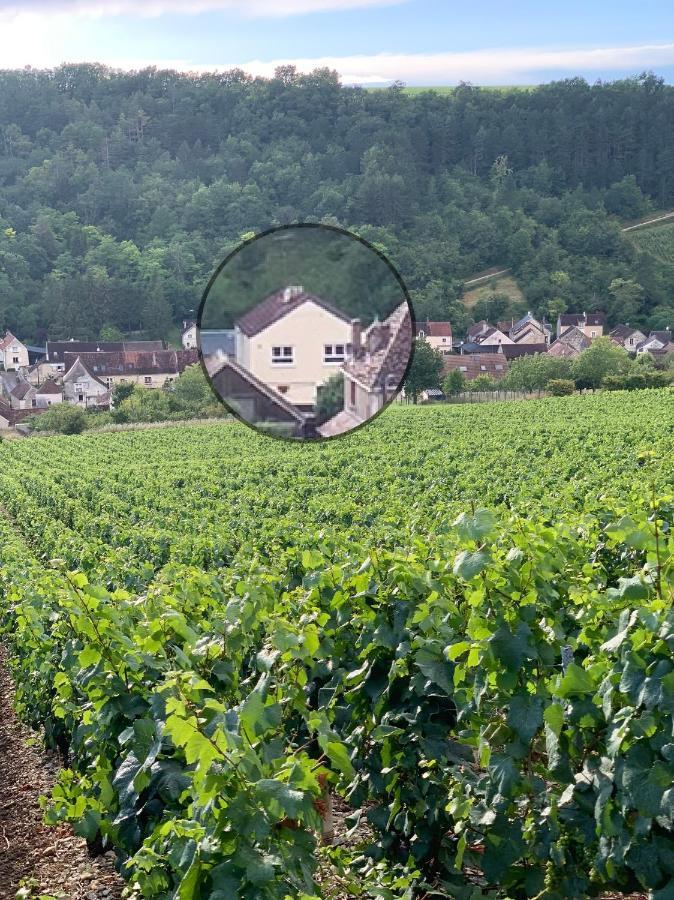 Maison de campagne entre vigne et bois Chablis Extérieur photo