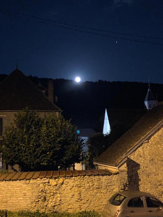 Maison de campagne entre vigne et bois Chablis Extérieur photo